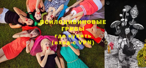 ГАЛЛЮЦИНОГЕННЫЕ ГРИБЫ Тында
